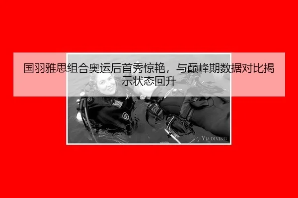 guo-yu-ya-si-zu-he-ao-yun-hou-shou-xiu-jing-yan-yu-dian-feng-qi-shu-ju-dui-bi-jie-shi-zhuang-tai-hui-sheng-3-376.jpg