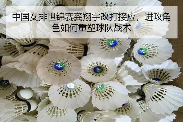 zhong-guo-nv-pai-shi-jin-sai-gong-xiang-yu-gai-da-jie-ying-jin-gong-jue-se-ru-he-zhong-su-qiu-dui-zhan-shu-2-751.jpg
